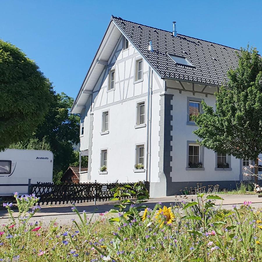 Apartment Suedwind - Beautiful Premium Apartment With 2 Bedrooms Near Rhine Falls & Zurich Airport In Klettgau Weisweil  Extérieur photo